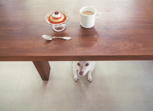 Bread and a Dog © Natsuko Kuwahara