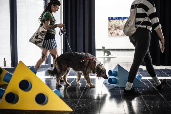 Hunde können an den pyramidenförmigen Aufbauten der Installation schnüffeln, 